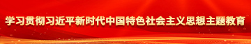 男人操女人的逼的软件学习贯彻习近平新时代中国特色社会主义思想主题教育